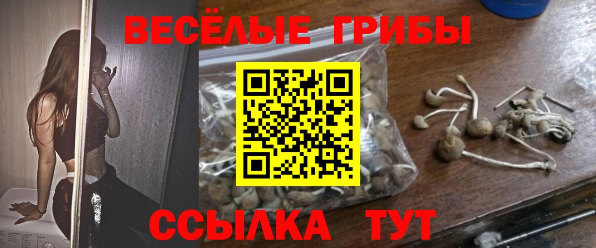 Галлюциногенные грибы MAGIC MUSHROOMS  Вход с VPN  что такое наркотик  Нефтеюганск  Псилоцибиновые грибы ЛСД 