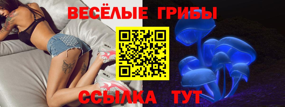 Псилоцибиновые грибы Psilocybe Нефтеюганск